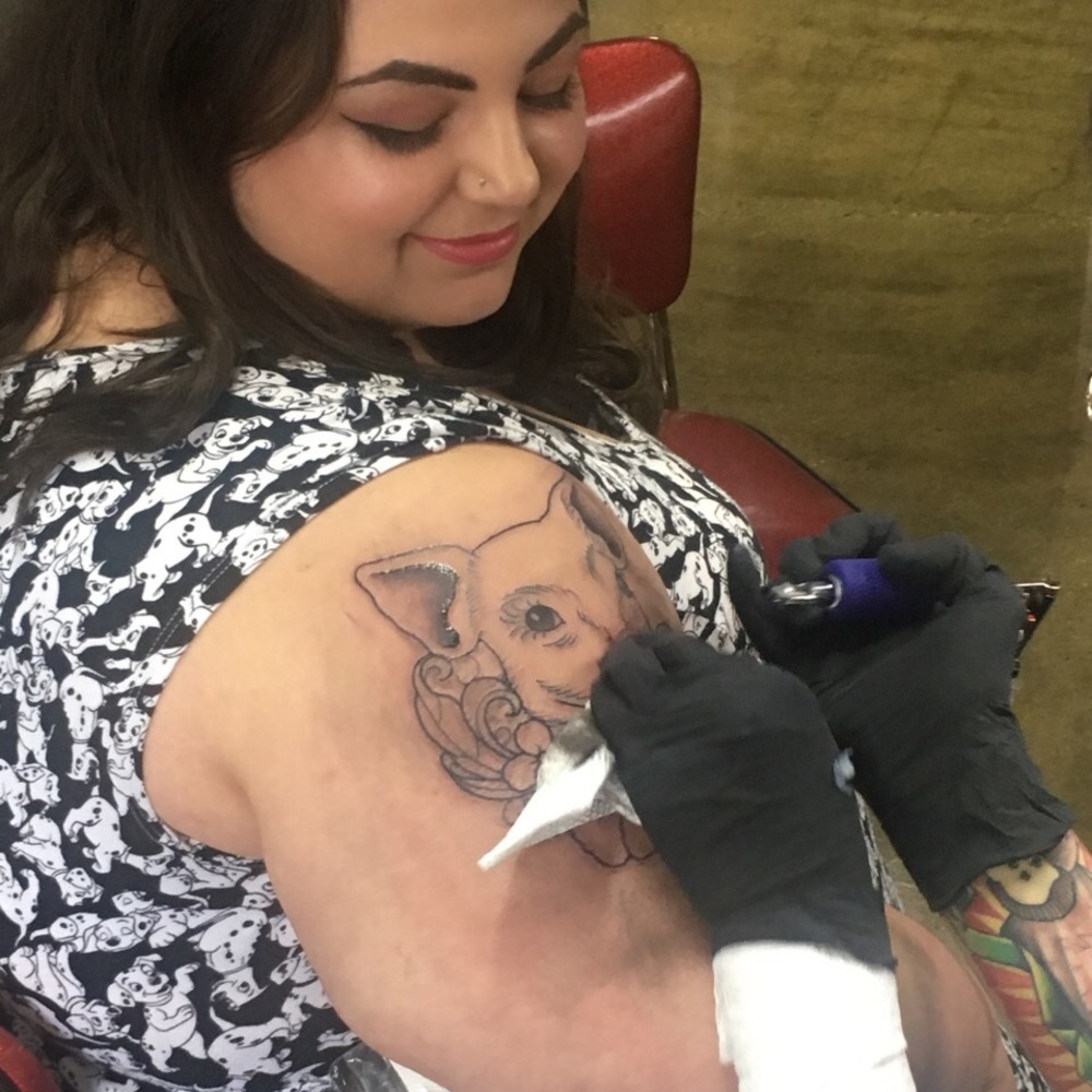 Meet your Posher, Paige